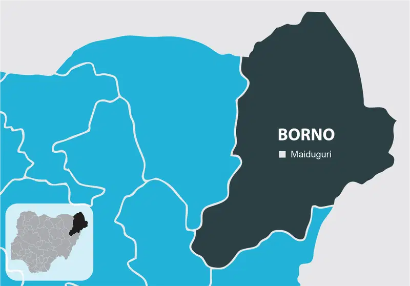 Gunmen Reportedly Abduct 42 Schoolchildren in Borno