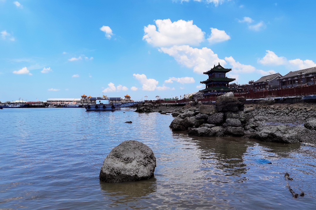‎Northern China Restores More Than 27,000 Hectares of Coastal Wetlands