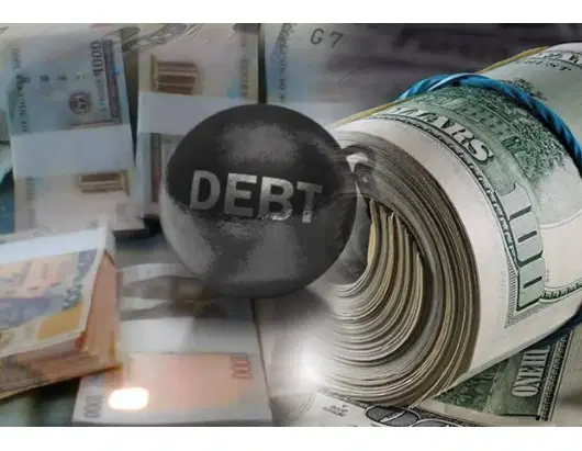 Businesses Suffer as FG’s Domestic Borrowing Surges 90% to ₦24.7trn