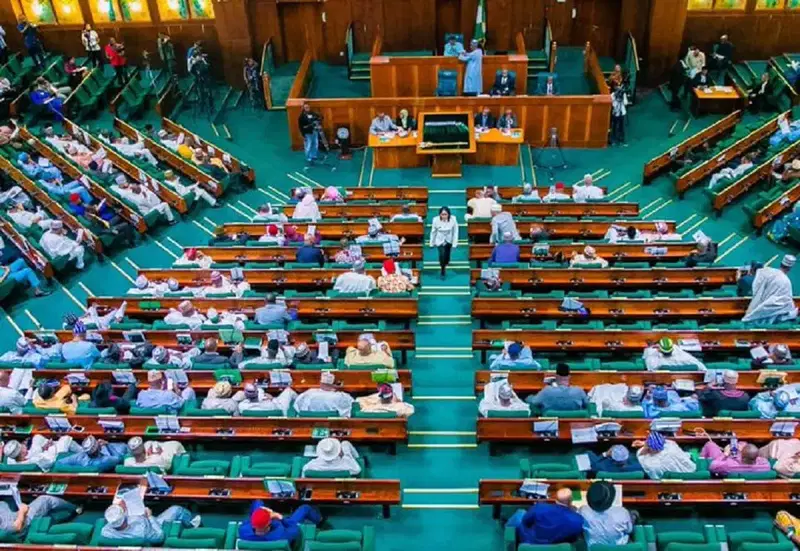 Nigeria’s National Assembly Suspends Official Visits to South Africa Over Xenophobia Concerns ‎