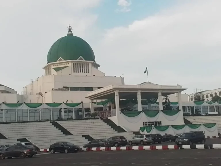 NIGERIA’S STATE POLICE PLAN FACES MAJOR HURDLE AS ONLY FIVE STATES APPROVE CONSTITUTIONAL AMENDMENT